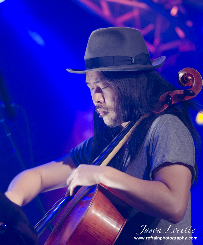 Joe Kwon - The Avett Brothers - 2013 Harvest Jazz & Blues Festival